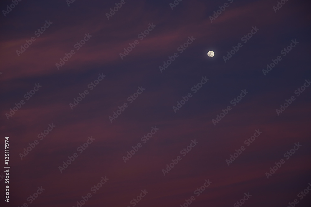 Winter Moon with Pink Sky at Sunset
