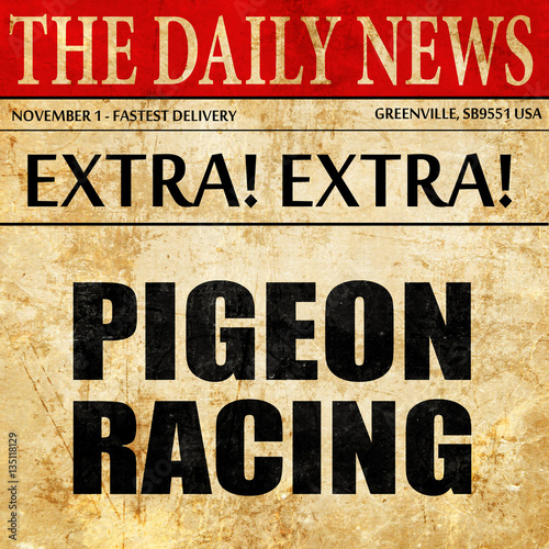 Wallpaper Mural pigeon racing, newspaper article text Torontodigital.ca