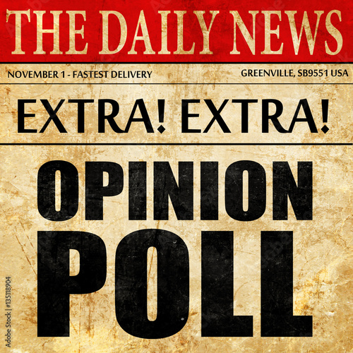 Wallpaper Mural opinion poll, newspaper article text Torontodigital.ca