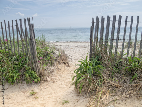 Path to the beach in Cape Cod photo