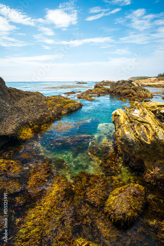 Hidden Beach, Point Lobos State Natural Reserve, Carmel, California, USA