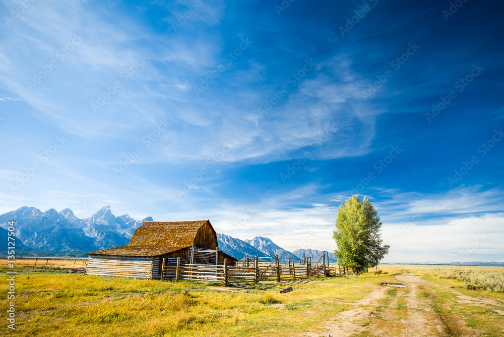 Fototapeta premium Grand Teton National Park, Wyoming. Barn in a grass field.