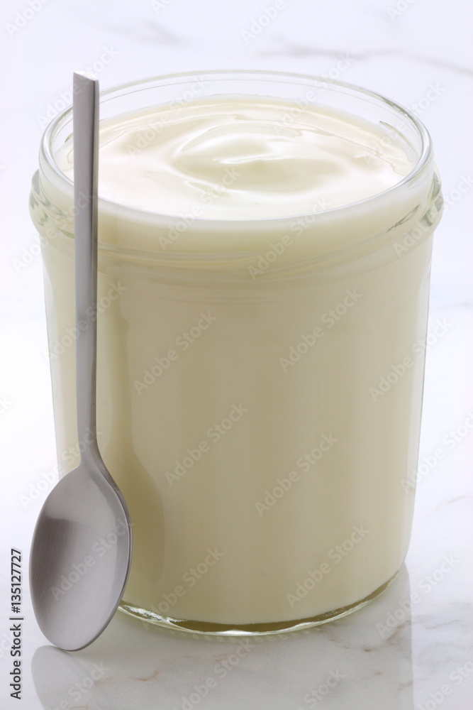 plain french style yogurt plain french style yogurt