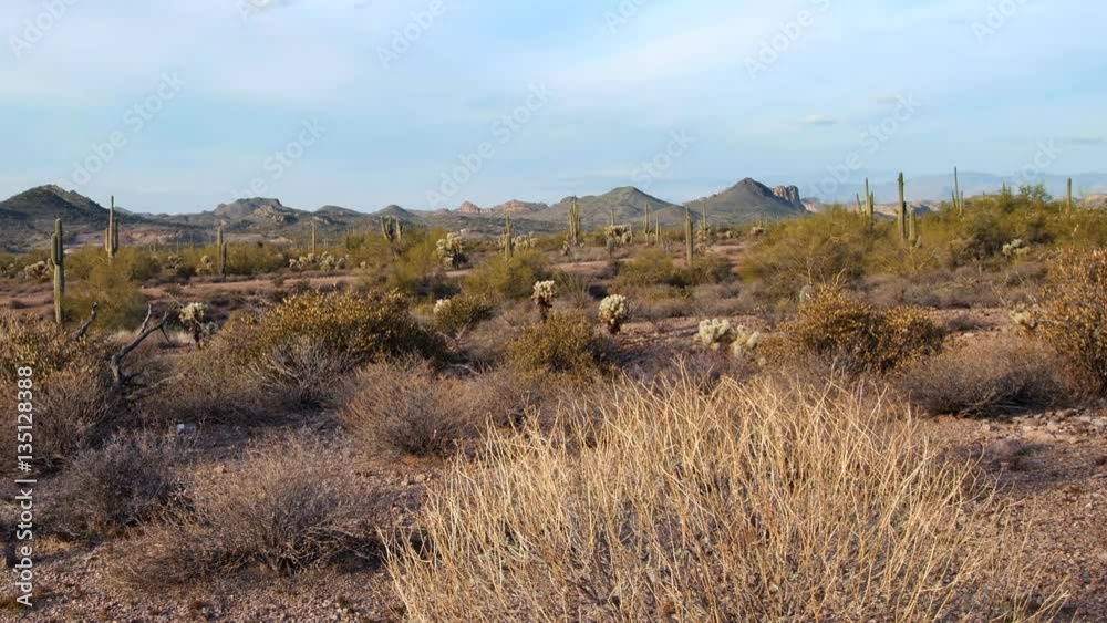 Pan of desert scenery in Arizona shows the dry climate this terrain endures.. Pan of desert scenery in Arizona shows the dry climate this terrain endures..
