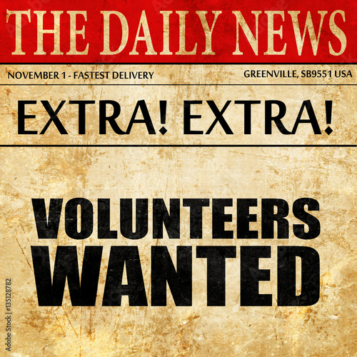 Wallpaper Mural volunteers wanted, newspaper article text Torontodigital.ca