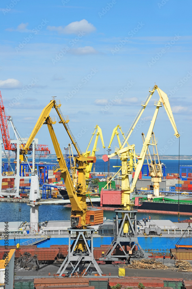 Bulk cargo ship under port crane