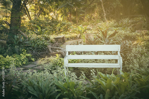 beautiful white vintage outdoor bench in a beautiful garden in the morning. with warm tone color filter added.