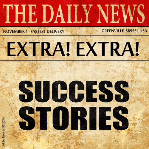 Wallpaper Mural success stories, newspaper article text Torontodigital.ca