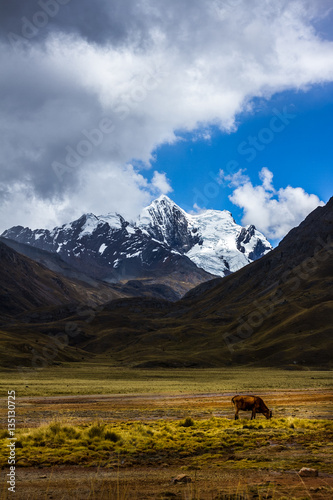 Huascaran National Park, large park in the north of Peru, where you look to find mountains above 5000 meters snowed between the valleys and mountains