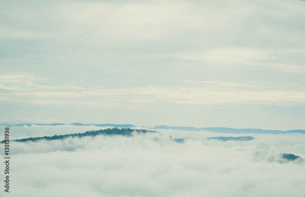 Sea mist at morning  on the mountain