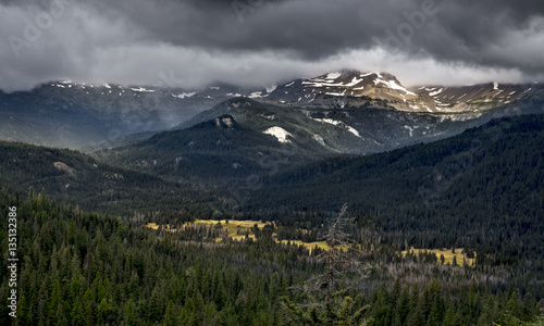 Conrad Meadows, Goat Rocks Wilderness, Cascade Range, Washington