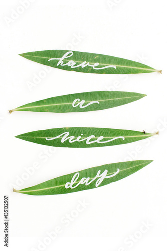 Calligraphic words "Have a nice day" written on green leaves. Flat lay, top view
