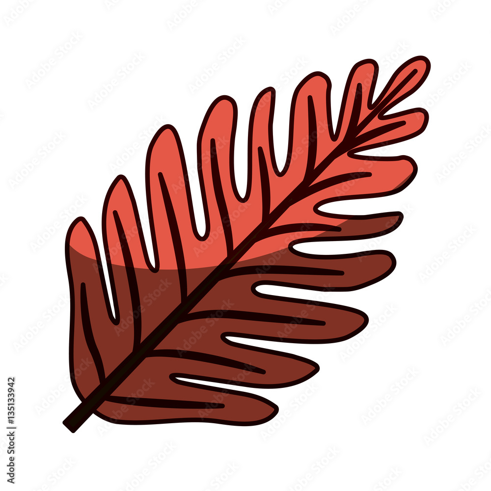 silhouette red aged color with middle shadow of dry leaves vector illustration