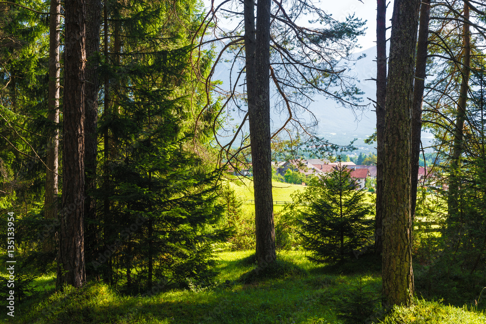 Fototapeta premium Obsteig in Sonnenplateau, Austria