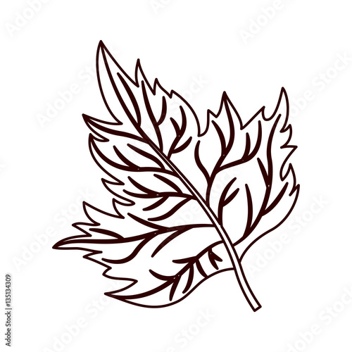 monochrome silhouette of dry leaves vector illustration