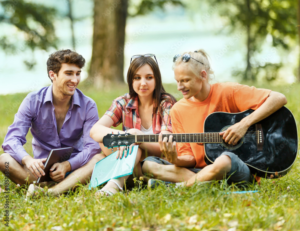 group of students with guitar resting in the Park on Sunny group of students with guitar resting in the Park on Sunny