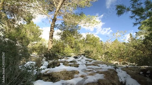 snow storm Nes Harim settlement Jerusalem area Israel photo