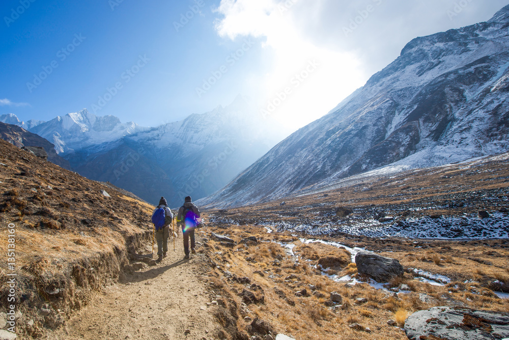 mountaineer are trekking to Himalayas sanctuary , hiking