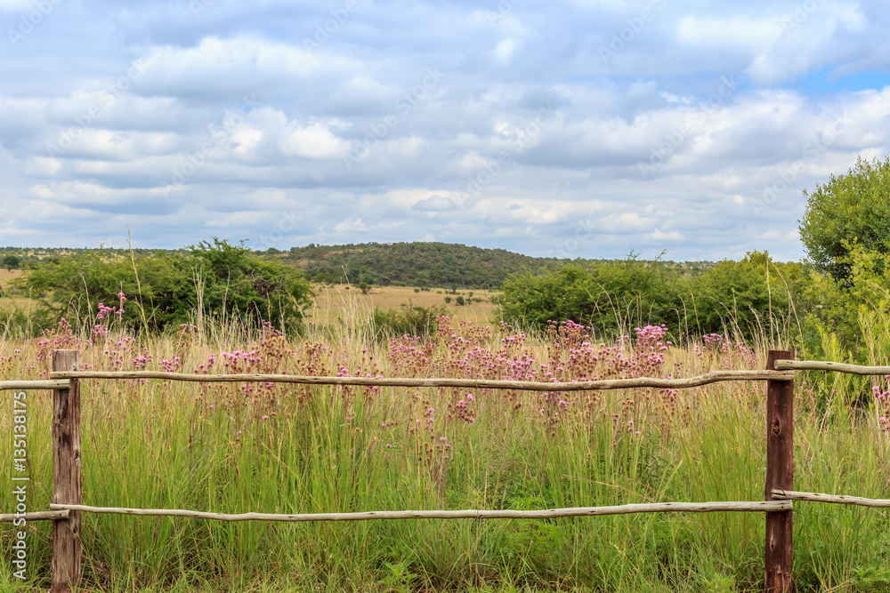 landscape with wooden fence