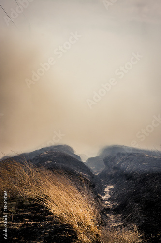Charred ground from a fire