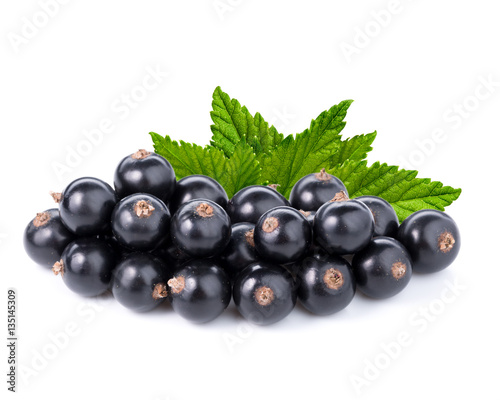 black currant isolated