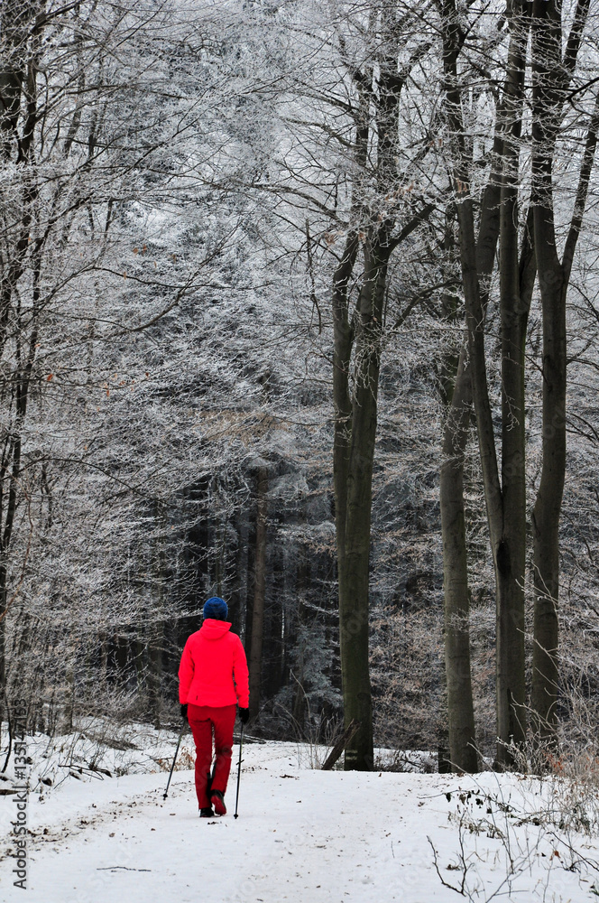 Nordic Walking im Winterwald