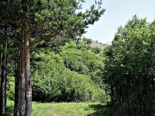Bulgariq photo