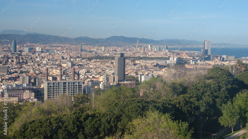 view of Barcelona cityscape from mount.