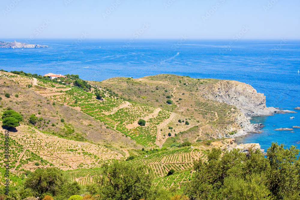 Rocky shore in marine reserve of Cerbere Banyuls, Mediterranean sea, Pyrenees Orientales, Cote Vermeille, France