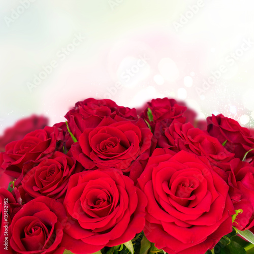 Bouquet of dark red rose buds close up border with copy space on bokeh background