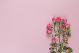 Bouquet of roses on a pink background. Space for text.