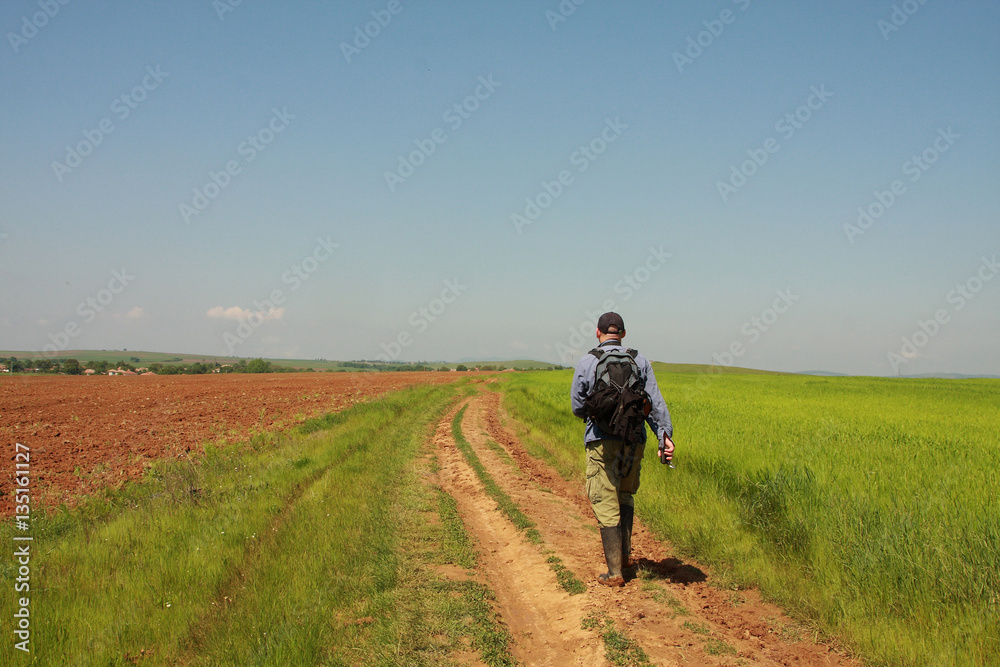 A man is walking on green wheat field and blue sky in spring time
