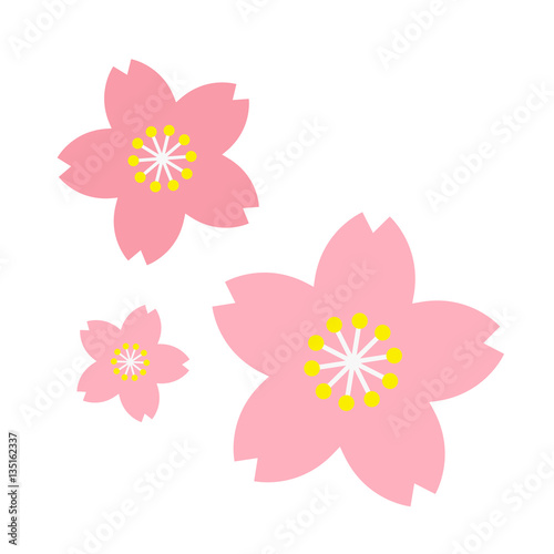 桜のイメージ