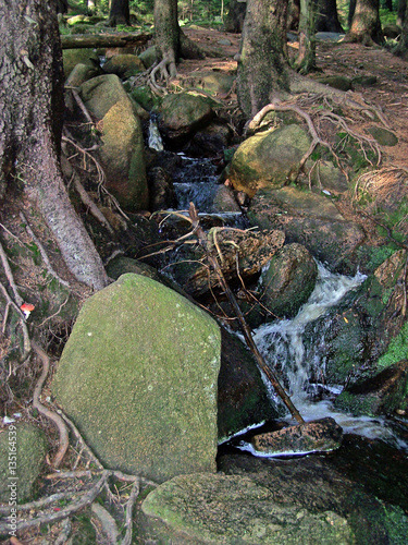 Ein Bachlauf im Harz