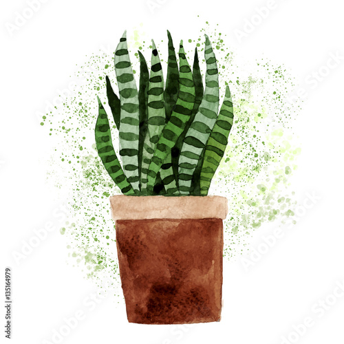Watercolor plant in brown pot