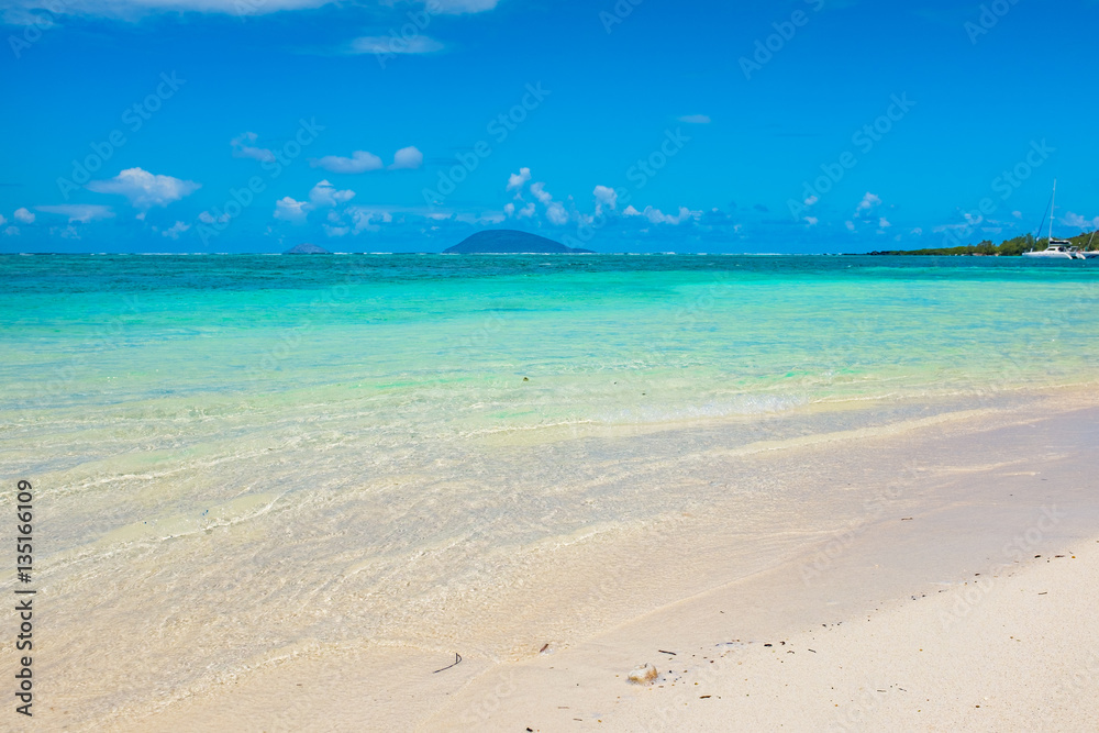 Beach on the tropical island. Clear blue water, sand and palm tr