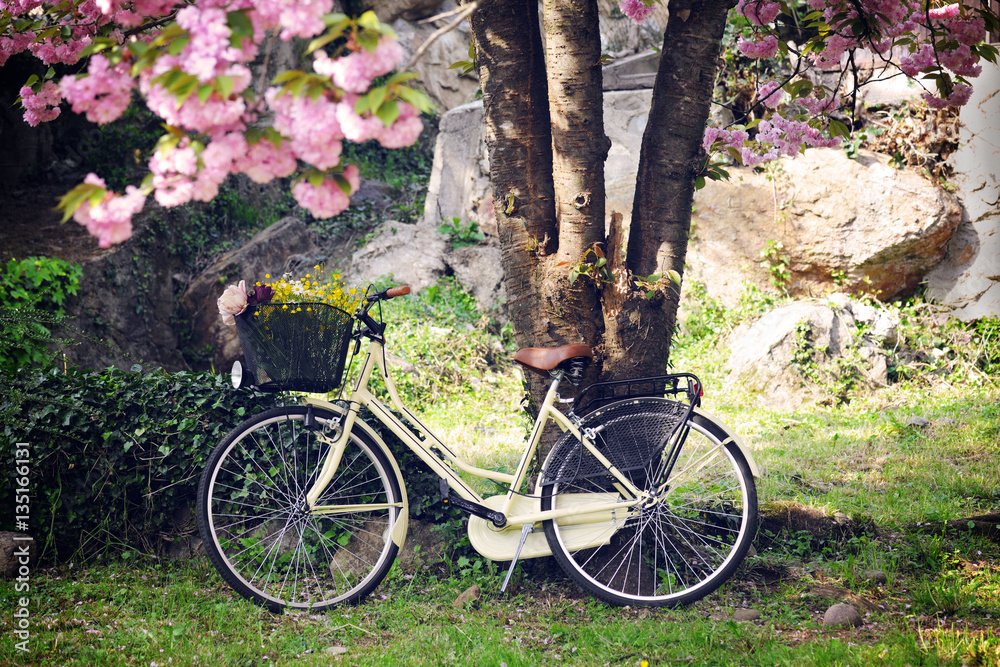 vintage bicycle in the spring garden