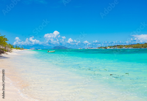 Fototapeta Naklejka Na Ścianę i Meble -  Beach on the tropical island. Clear blue water, sand and palm tr