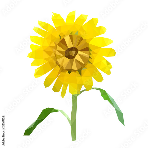 Fototapeta Naklejka Na Ścianę i Meble -  polygonal sunflower, isolated polygon vector flower