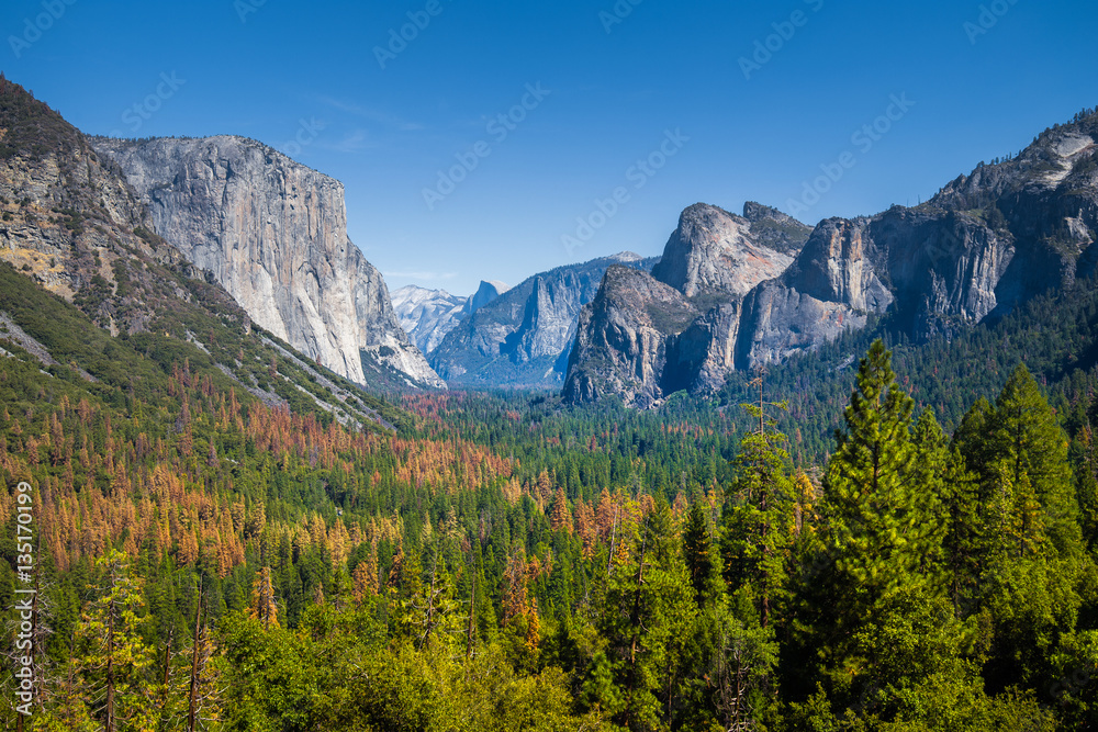 Yosemite National Park in summer, California, USA