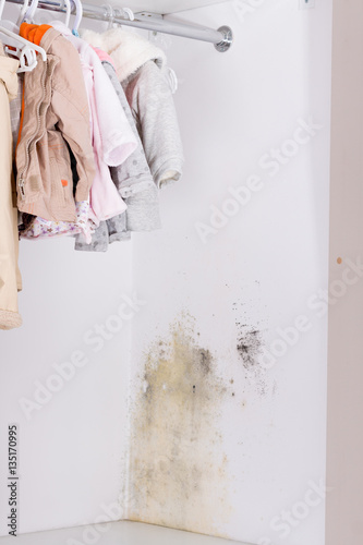 Obraz na płótnie Persistent mold in wardrobe on wall and shelves. Hanging kids clothes .on the rack. w salonie