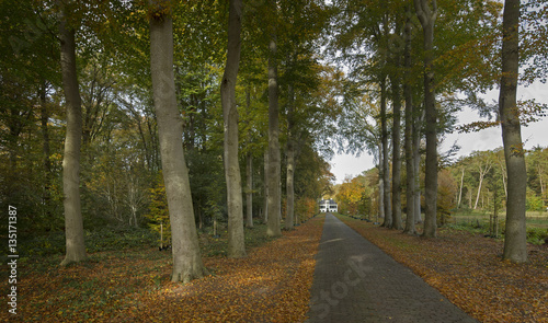 Forest lane at Maatschappij van Weldadigheid Netherlands. Lane in autumn. Huize Westerbeek. Frederiksoord Drenthe Netherlands. photo