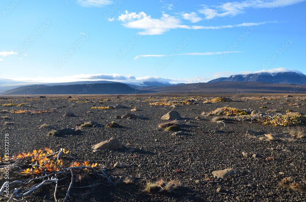 Desert in Iceland highlands with glacier in the background