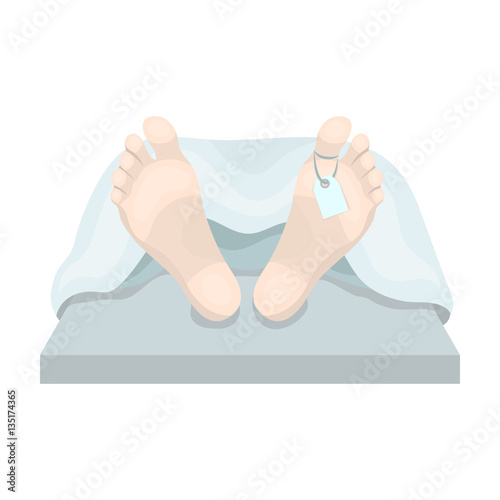 Photography Deceased with tag icon in cartoon style isolated on white background