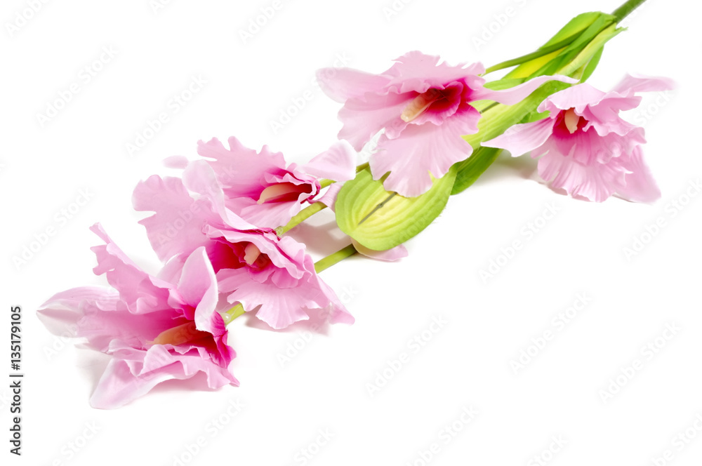 Fototapeta premium Artificial flowers for design and home decoration - lily isolated on white background