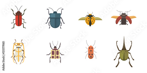 Set of insects flat style vector design icons. Collection nature beetle and zoology cartoon illustration. Bug icon wildlife concept © denis08131