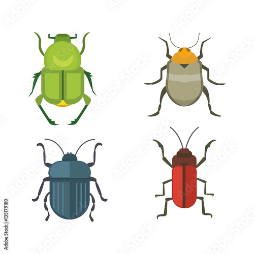 Set of insects flat style vector design icons. Collection nature beetle and zoology cartoon illustration. Bug icon wildlife concept