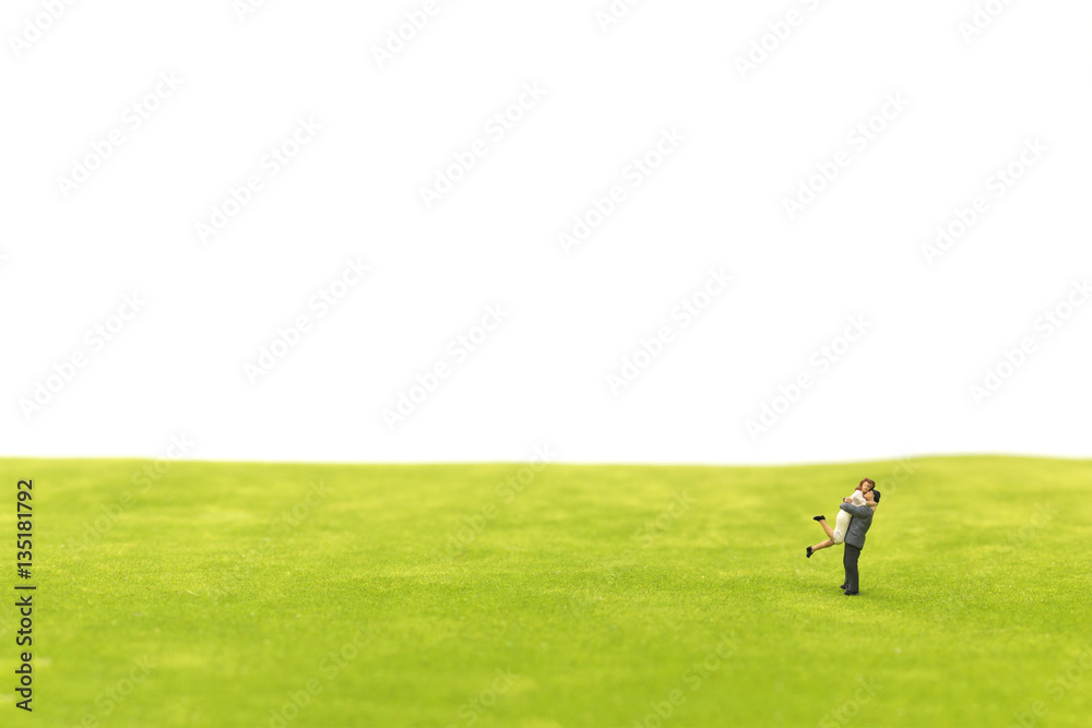 Miniature couple hugging on green fields Miniature couple hugging on green fields