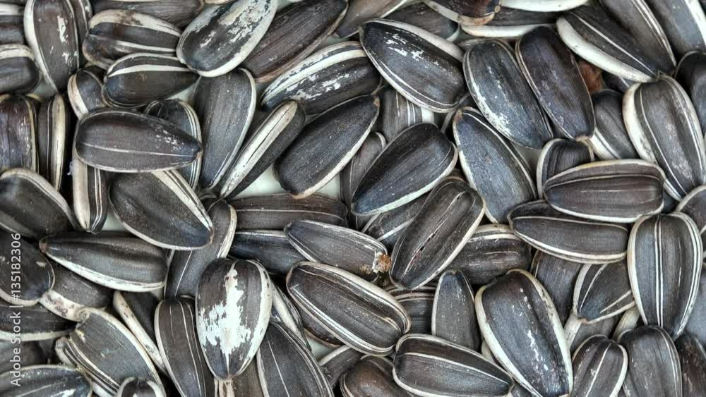 organic sunflower seeds. turntable counterclockwise organic sunflower seeds. turntable counterclockwise