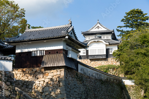 Bitchu Matsuyama Castle photo